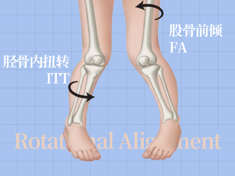 SPI足底壓力分布計(jì)量